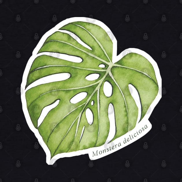 Monstera Deliciosa | Plant by Hi I'm not Lara